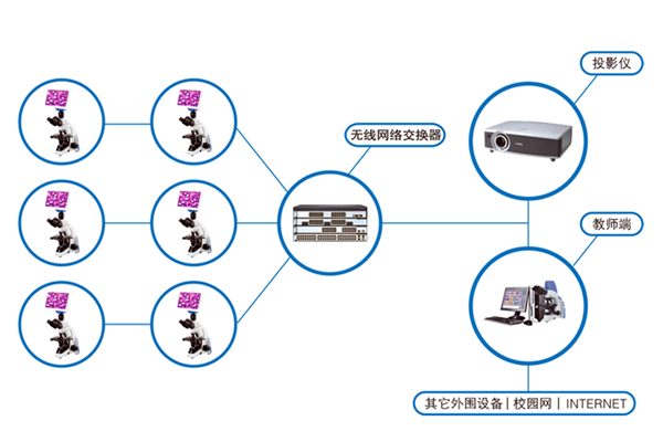 网络版数码显微互动实验室